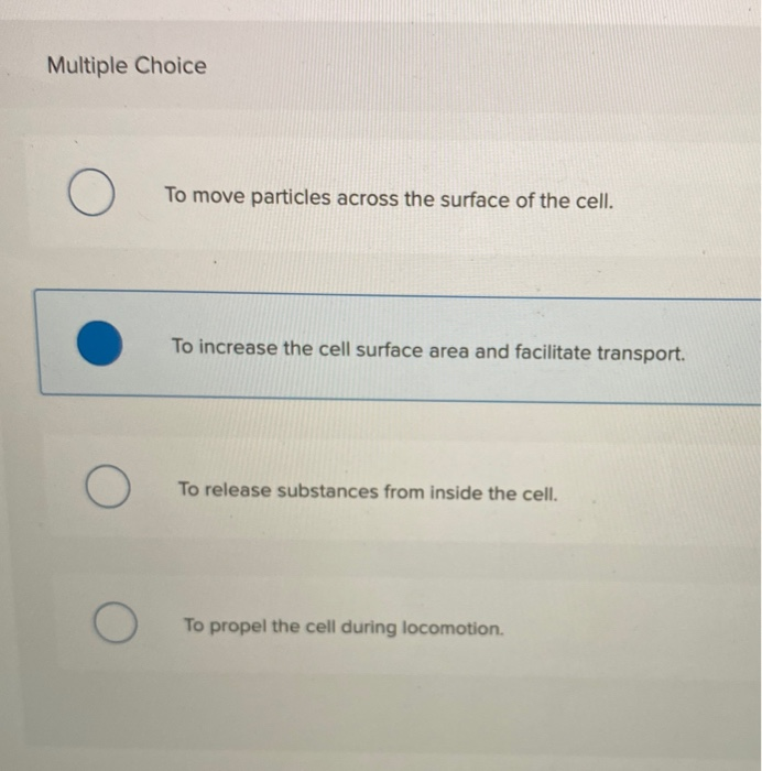 Solved What is the function of the highlighted organelle? | Chegg.com