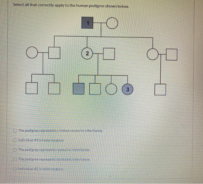 Solved Select all that correctly apply to the human pedigree | Chegg.com