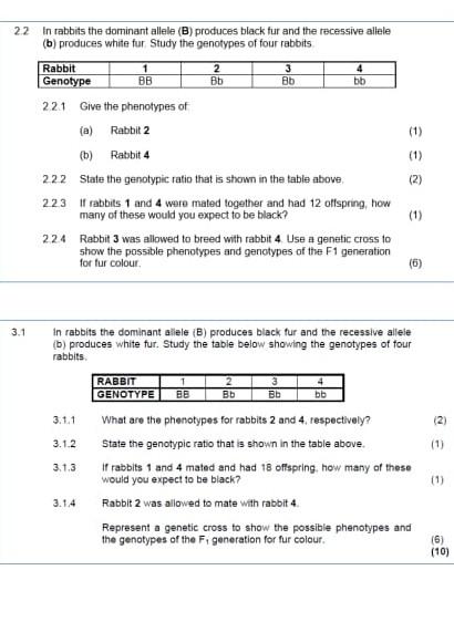 Solved 2.4 In cats the allele for short hair is dominant (H) | Chegg.com