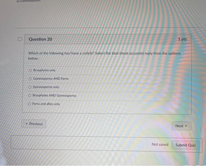 Solved Question 19 1 pts Which of the following is/are an | Chegg.com