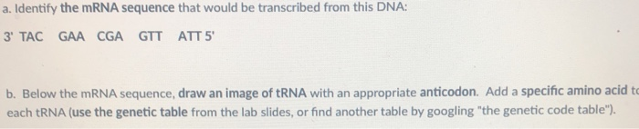 Solved a. Identify the mRNA sequence that would be | Chegg.com