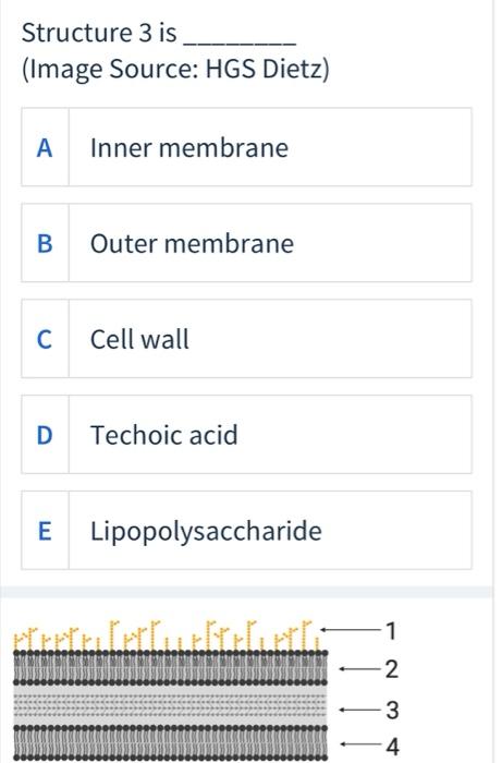 Solved Structure 3 is (Image Source: HGS Dietz) A Inner | Chegg.com