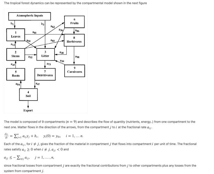 Solved The tropical forest dynamics can be represented by | Chegg.com