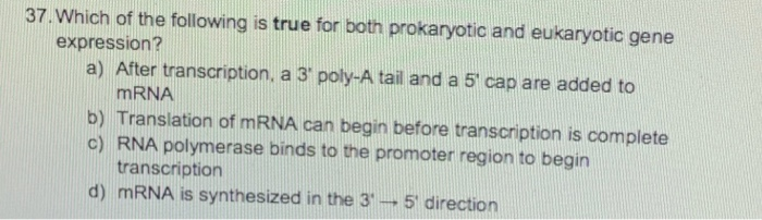 Prolein Solved 8. What is the term used for a prolein molecule that | Chegg.com