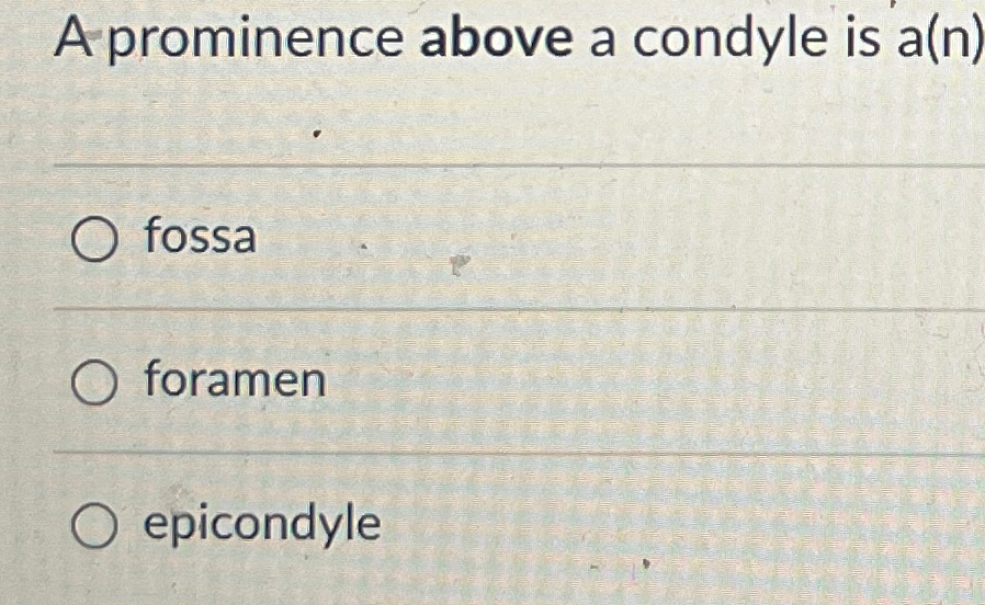 Solved A prominence above a condyle is a(n) ﻿fossa foramen | Chegg.com