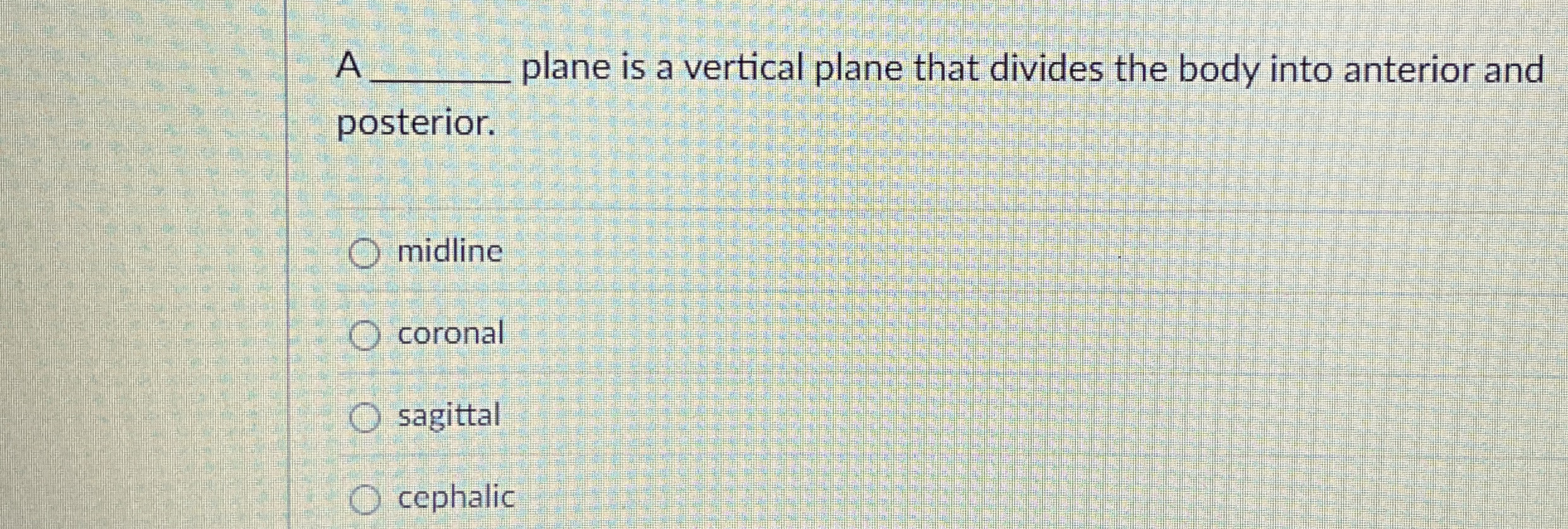 A q, ﻿plane is a vertical plane that divides the body | Chegg.com