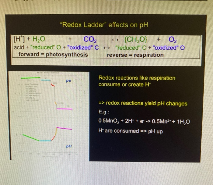 Solved Examine the changes in PE and pH along the redox | Chegg.com