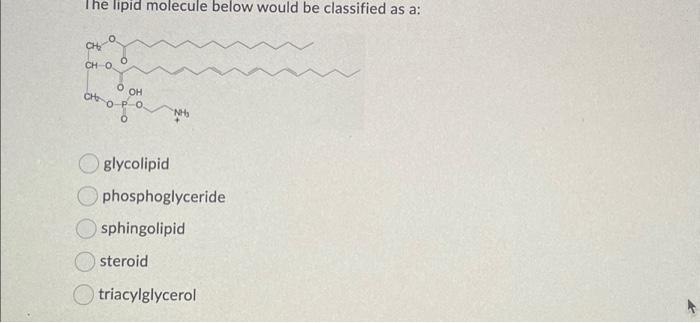 Solved The lipid molecule below would be classified as a: | Chegg.com