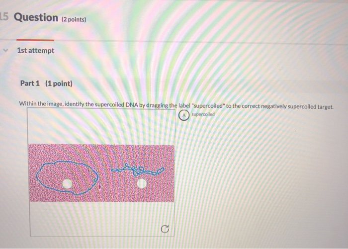 Solved 15 Question (2 points) 1st attempt Part 1 (1 point) | Chegg.com