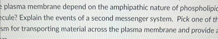 plasma membrane depend on the amphipathic nature of | Chegg.com