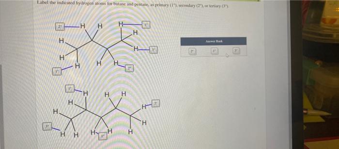 Solved Label the indicated hydrogen atoms for butane and | Chegg.com