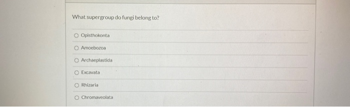 solved-what-domain-do-fungi-belong-to-eukarya-o-archaea-chegg