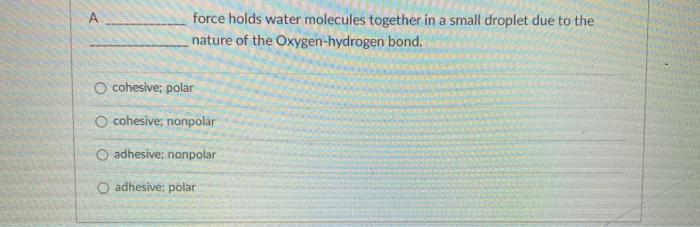 Water molecule essay picture