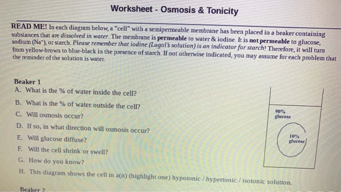 Osmosis And Tonicity Worksheet