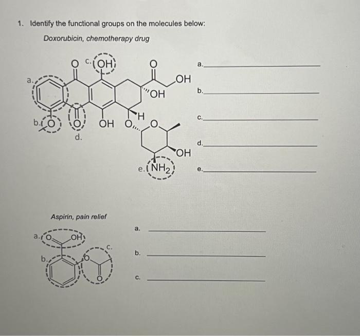 dimethylamine lewis structure
