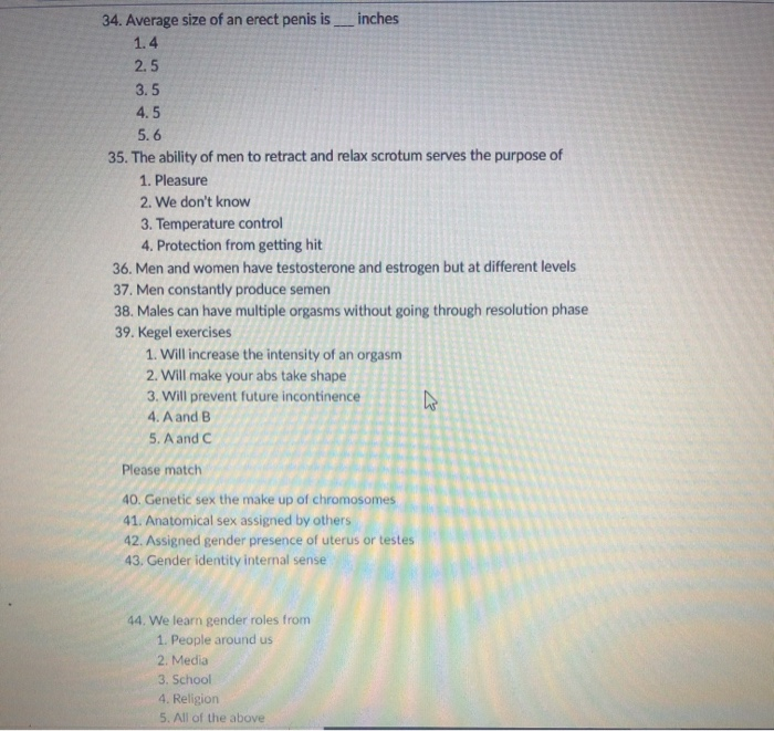 Solved 34. Average size of an erect penis is inches 1.4