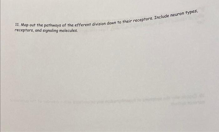 11. Map out the pathways of the efferent division down to their receptors. Include neuron types, receptors, and signaling mol