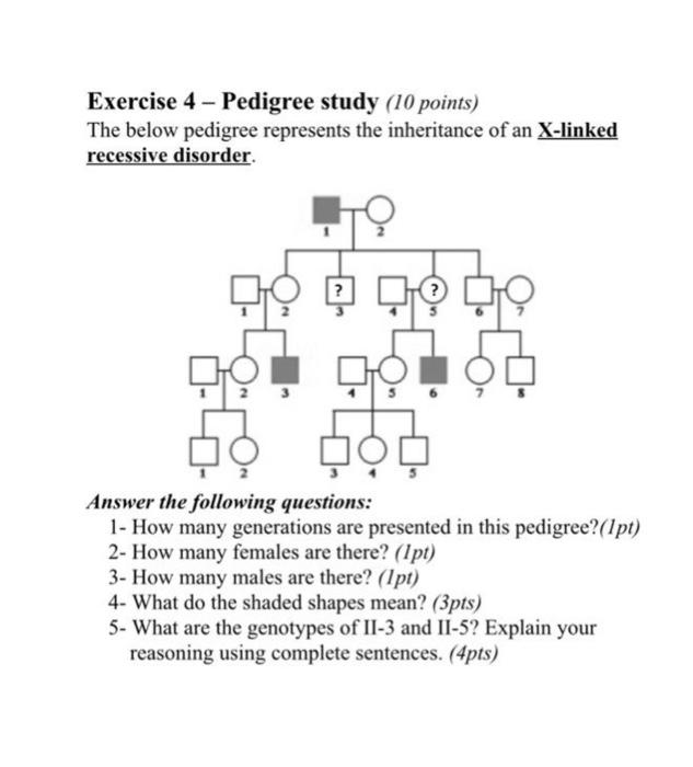 Solved Exercise 4 - Pedigree study (10 points) The below | Chegg.com