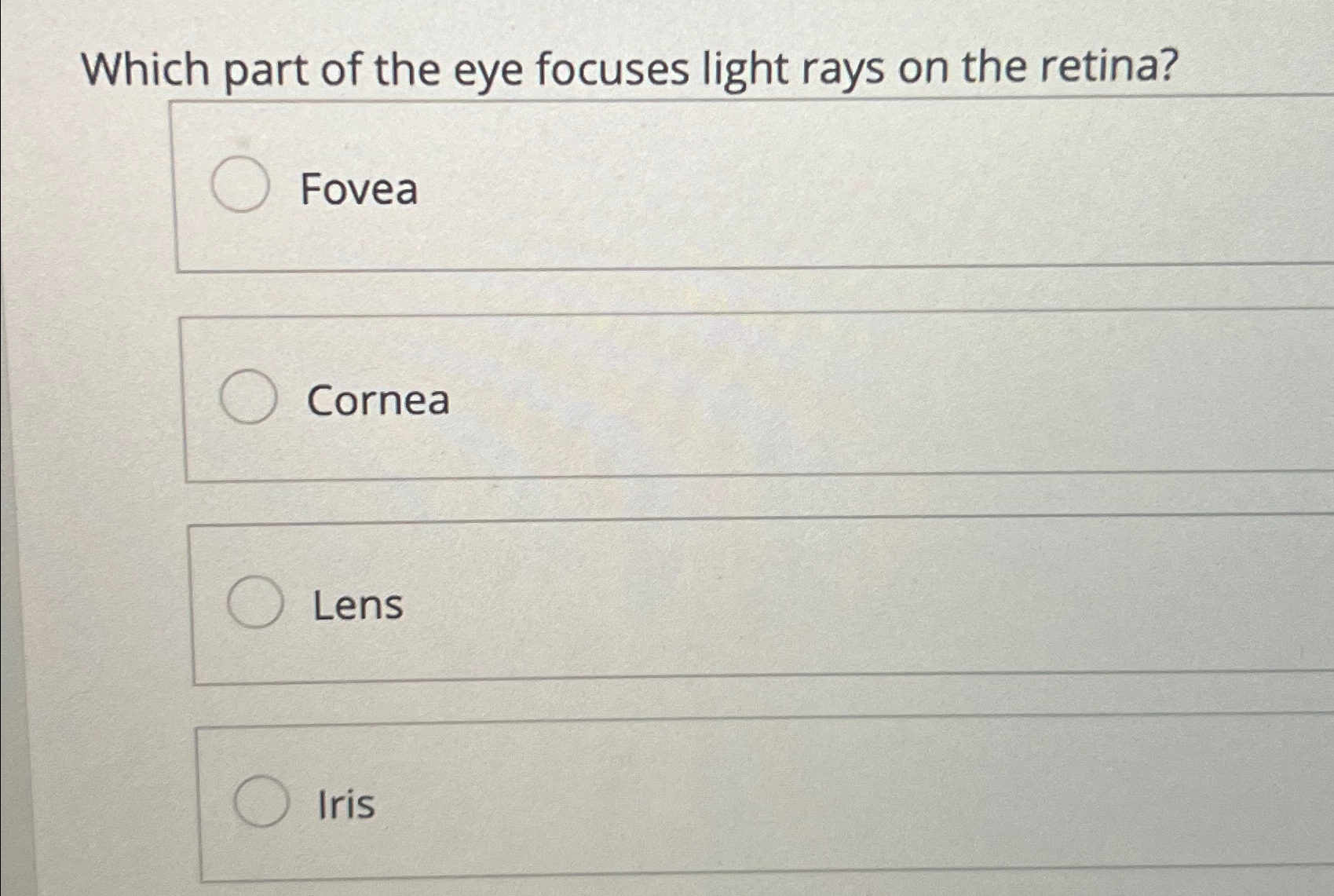 what focuses light rays on the retina