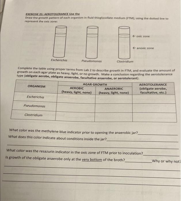 Oxygen and Growth Catalase CASB FILE Pobent G is a