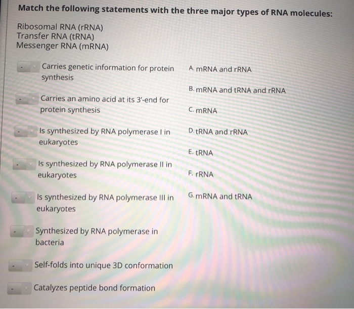 Solved Match The Following Statements With The Three Major Chegg Com