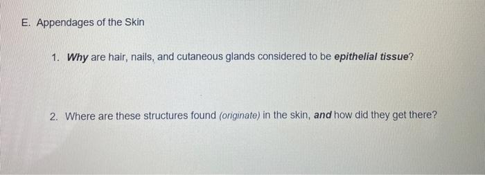 Solved E. Appendages of the Skin 1. Why are hair, nails, and 