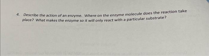 Solved Answer All Please! | Chegg.com