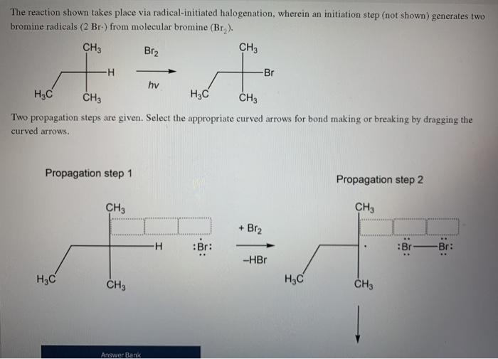 Solved The reaction shown takes place via radical-initiated | Chegg.com