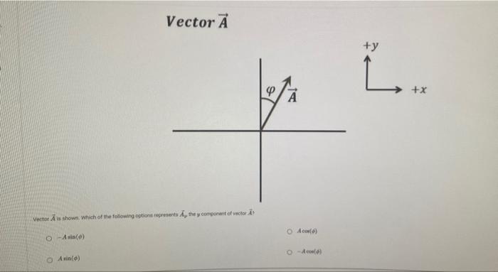 Solved Vector A +y L φ. +x A Vectoe shown. Which of the | Chegg.com