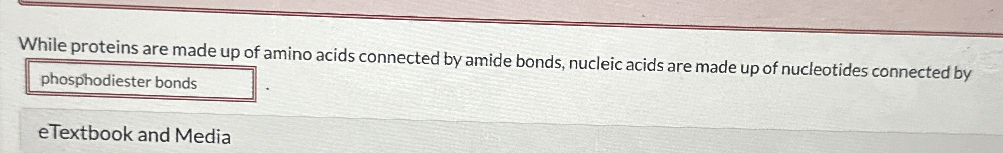 Solved While proteins are made up of amino acids connected | Chegg.com