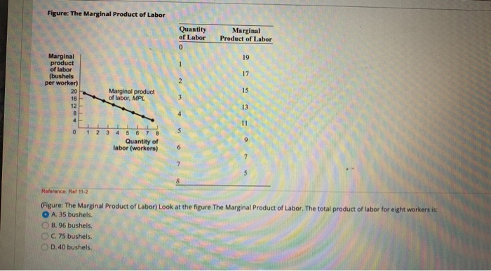 Solved Figure: The Marginal Product of Labor Quantity of | Chegg.com