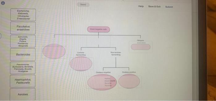 solved-please-label-the-image-to-demonstrate-your-chegg