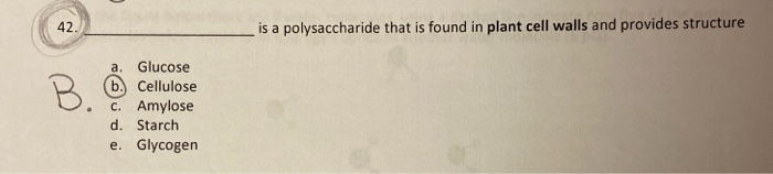 Solved Is A Polysaccharide That Is Found In Plant Cell Wa Chegg Com