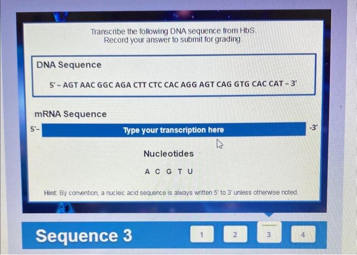 Solved Transcribe the following DNA sequence from HbS. | Chegg.com