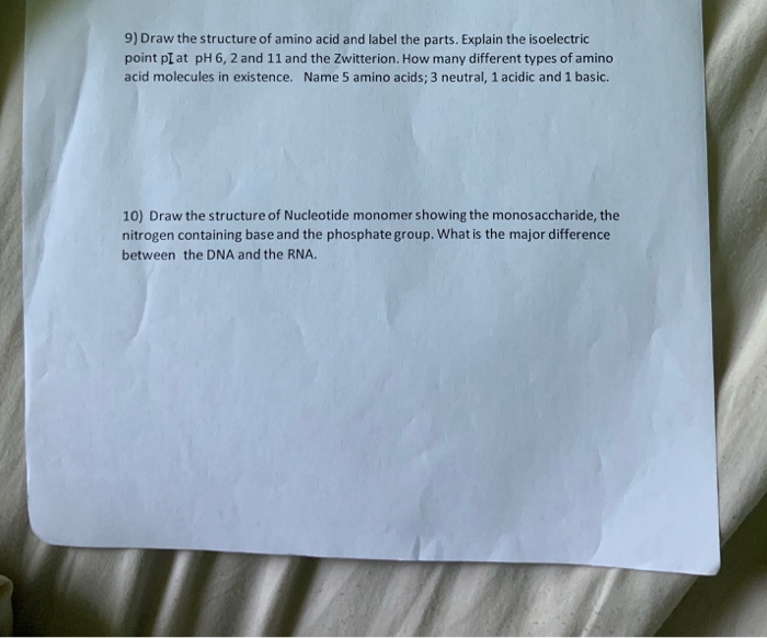 Solved 9) Draw the structure of amino acid and label the | Chegg.com