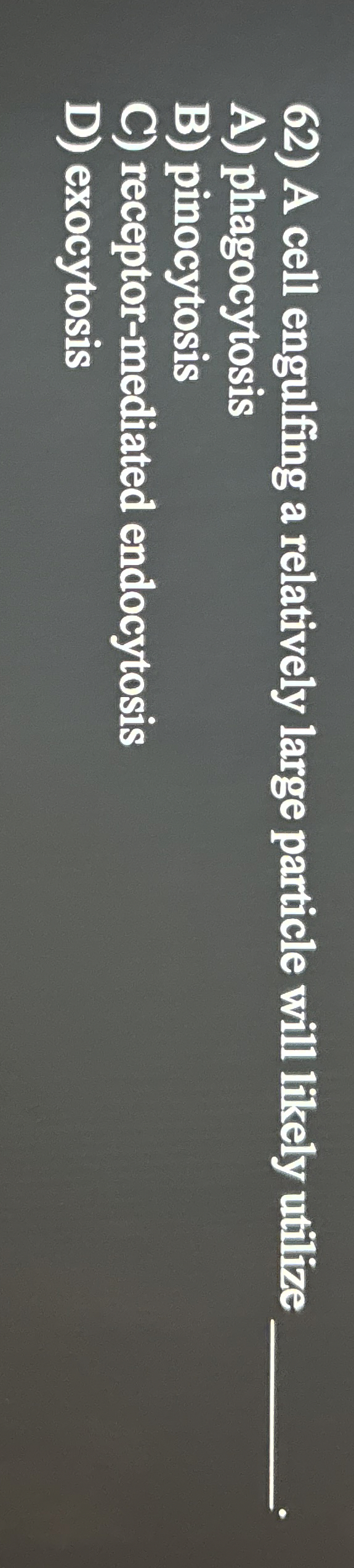 Solved A cell engulfing a relatively large particle will | Chegg.com