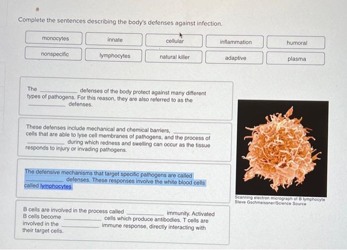 solved-complete-the-sentences-describing-the-body-s-defenses-chegg