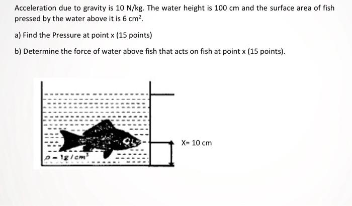 Kg 2024 x gravity