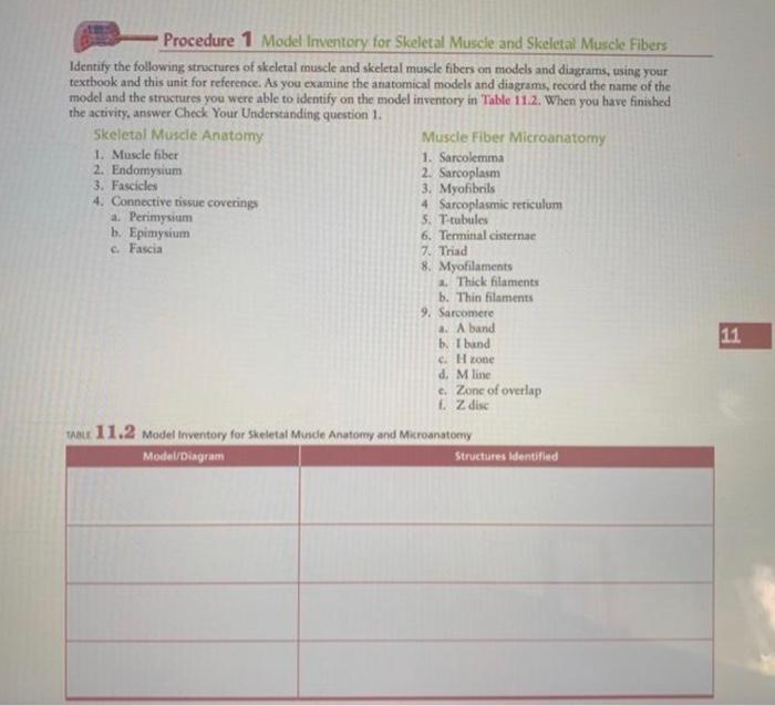 Identify the following structures of skeletal muscle | Chegg.com