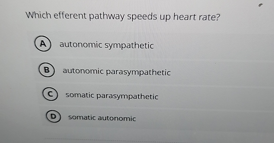 Solved Which efferent pathway speeds up heart rate?autonomic