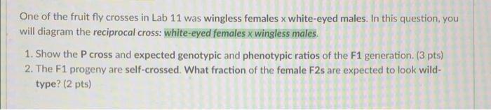 Solved One of the fruit fly crosses in Lab 11 was wingless | Chegg.com