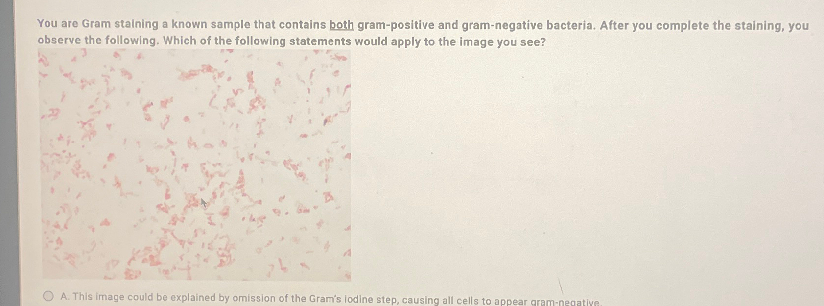 Solved You are Gram staining a known sample that contains | Chegg.com