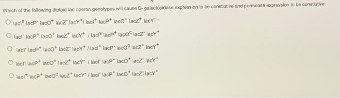 Solved Which of the following diploid lac operon genotypes | Chegg.com