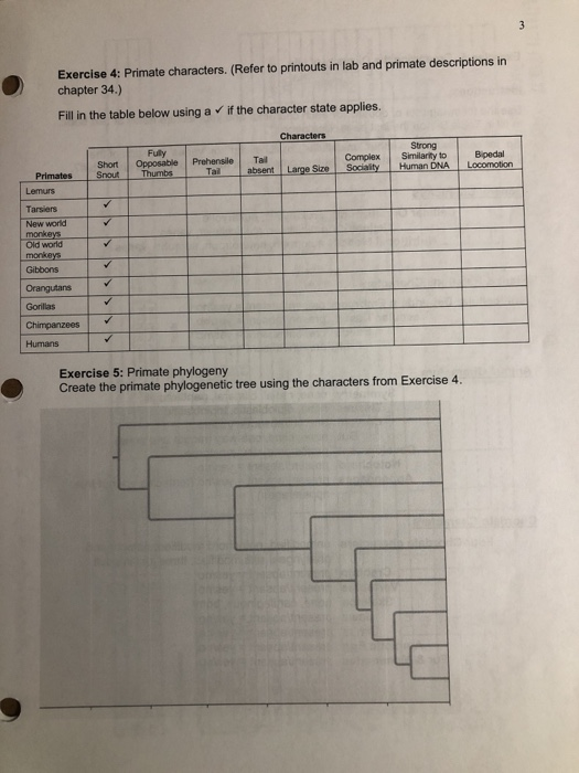 Solved Exercise 4: Primate Characters. (Refer To Printouts | Chegg.com