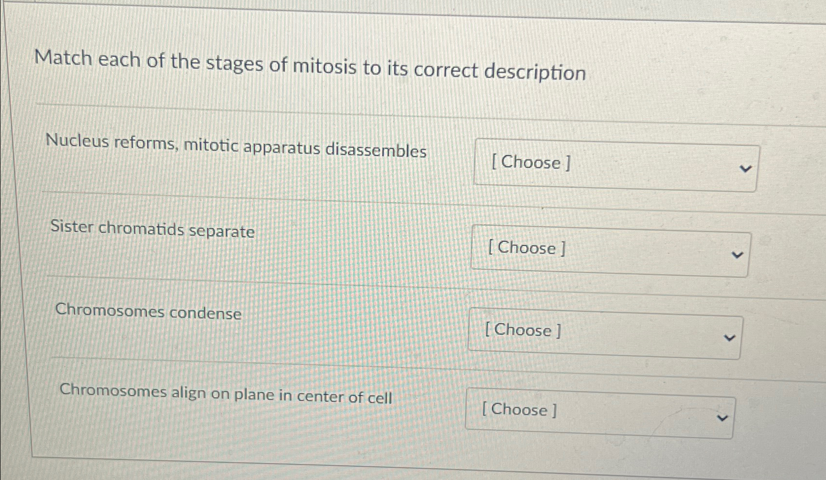 Solved Match each of the stages of mitosis to its correct | Chegg.com