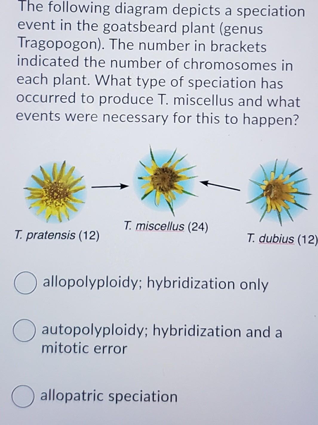 Solved The following diagram depicts a speciation event in | Chegg.com