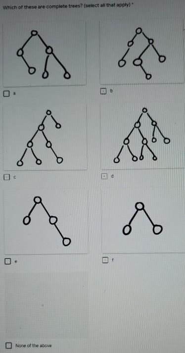 Solved Tree Terminology This tree is (choose ALL that | Chegg.com