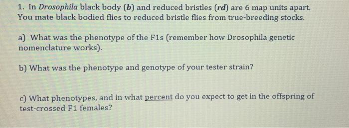 Solved 1. In Drosophila Black Body (b) And Reduced Bristles | Chegg.com