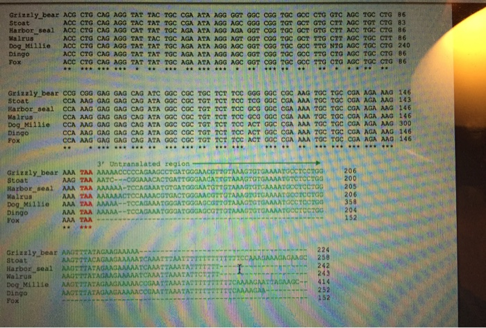 Solved Below is a multiple sequence alignment that was | Chegg.com