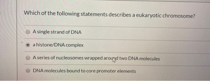 Which Of The Following Statements Describes A Chegg 